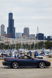 View Image