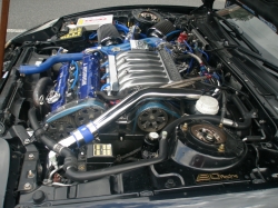 View Image