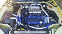 View Image