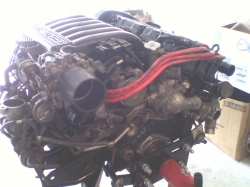 View Image
