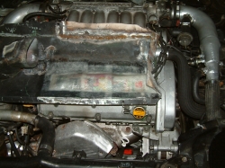 View Image