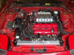 View Image